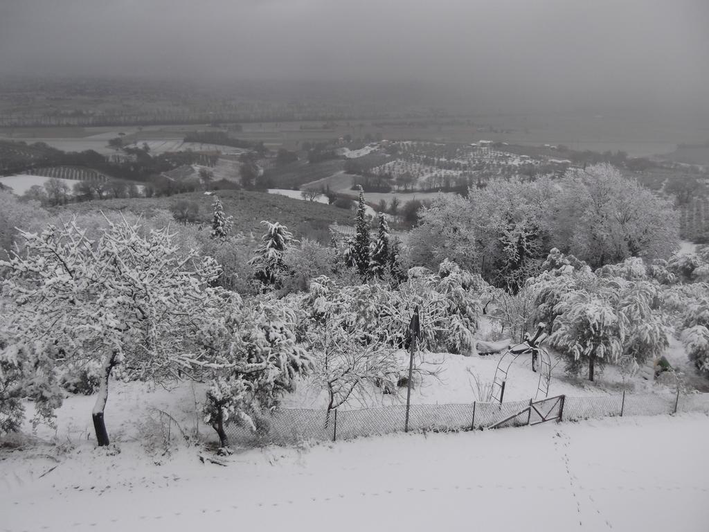 A Casa Di Mi Appartamenti Vacanza Montefalco Exterior foto