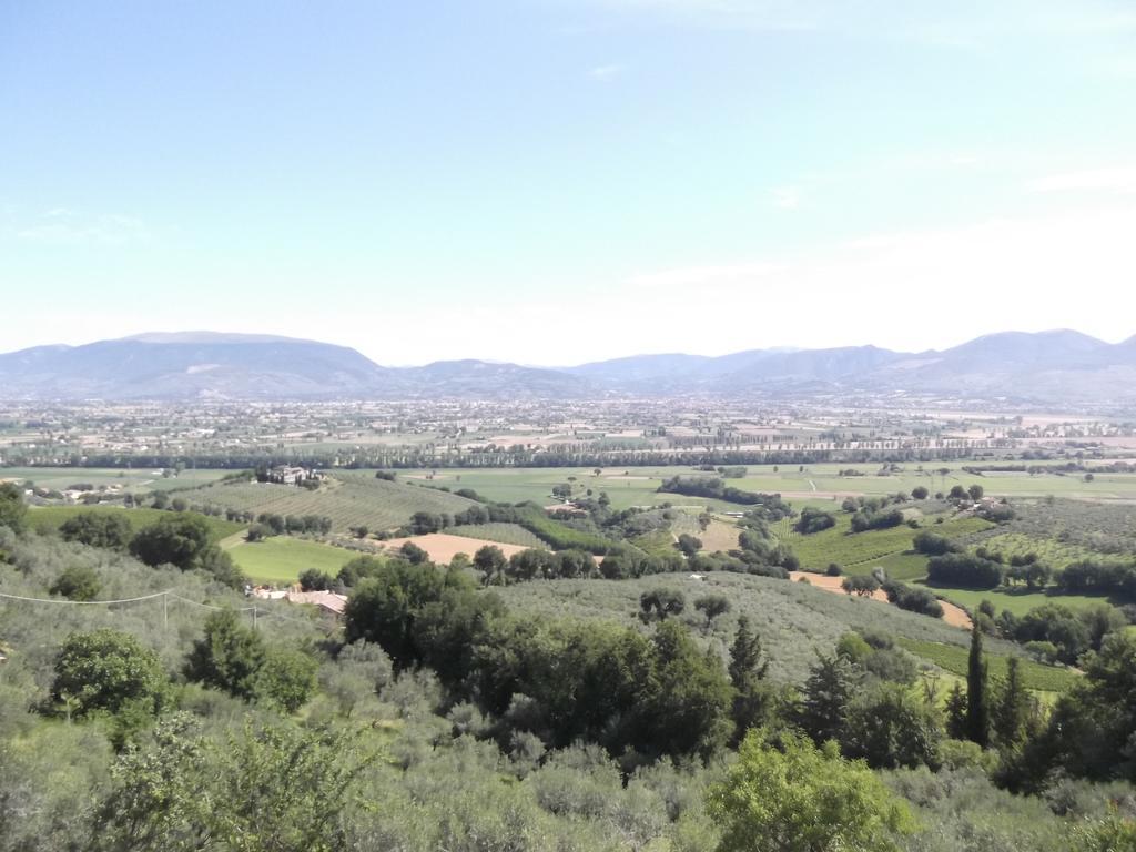 A Casa Di Mi Appartamenti Vacanza Montefalco Habitación foto